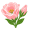 СЕЗОН ЭУСТОМЫ