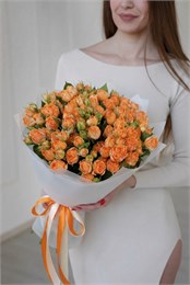 Кустовые розы Корал Баблз в упаковке (25шт) 572