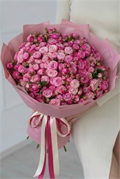Кустовые розы Леди Бомбастик в розовой упаковке (51шт) 625