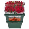 Красные розы (пачка 10шт) 45468797