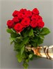 Красные розы (пачка 10шт) 45468797