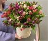 Композиция из альстромерии микс в коробке (17шт, размер S) 45665445664