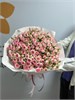 Кустовые розы Кейт в пленке (51шт) 859674