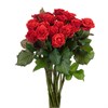 Красные розы Эльторо (пачка 10шт) 66225533114