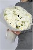 Розы Беларусь в пленке туман (21шт) 34990079009