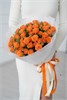 Кустовые розы Корал Баблз в упаковке (15шт) 570