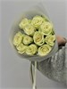 Белые розы Кения 40см в пленке (11шт) 503