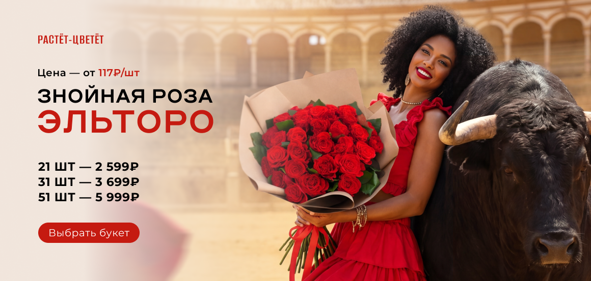 Ярко‑красная фактурная роза с плотным гофрированным бутоном, эффектно смотрится в букетах и долго сохраняет свежесть в вазе