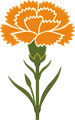 Гвоздики
