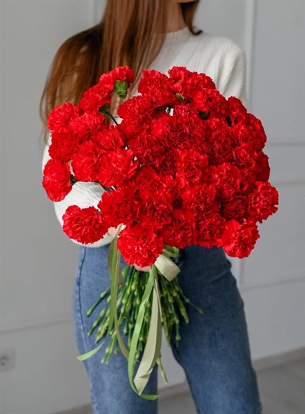 Гвоздика красная (50шт) 351 - фото 630230