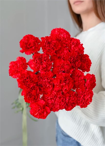 Гвоздика красная (пачка 20шт) 99999999 - фото 635511