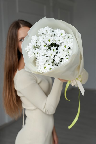 Хризантема Сантини ромашка (белая,9шт) 899889999 - фото 635718