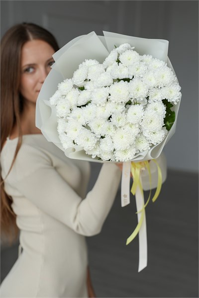 Хризантема Сантини пушистая (белая, 9шт) 9777799977 - фото 635729