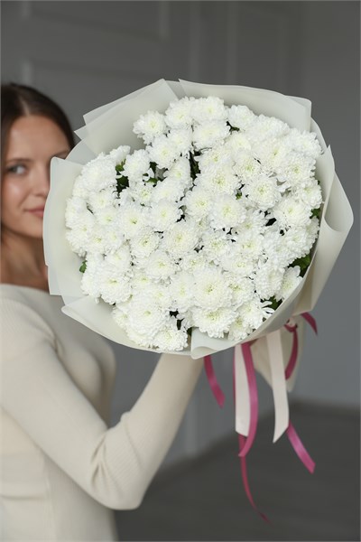 Хризантема Сантини пушистая (белая, 15шт) 33433434677 - фото 635740