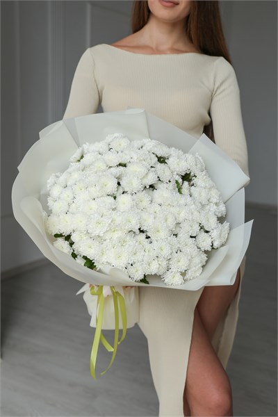Хризантема Сантини пушистая (белая, 25шт) 3216655675 - фото 635768