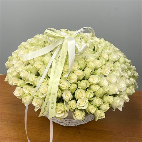 Белые розы Кения в корзине (201шт 754 - фото 636136