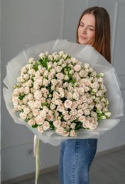 51 Кустовая роза Роял Порселина