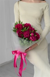 Пионы бордовые Ред впленке (9шт) 607