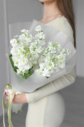 Маттиола белая 9шт 601