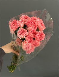 Гвоздика розовая (пачка 20 шт) 65214