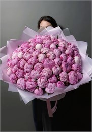 Пионы розовые в красивой упаковке (51шт) 560909090