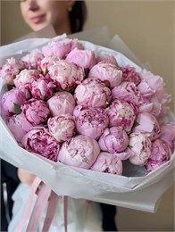 Пионы розовые в упаковке (31шт) 422211344