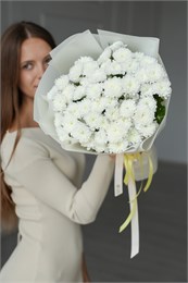Хризантема Сантини пушистая (белая, 9шт) 9777799977