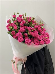 Кустовые розы малиновые Пинк йо в пленке (21шт) 345687