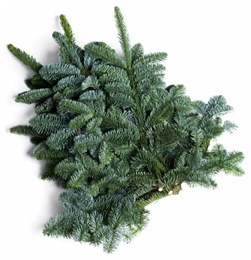 Нобилис (банч,10 веток) 728