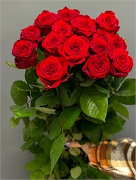 ОПТ Красные розы 70см (пачка 15шт) 8547