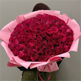 101 малиновая роза Кения 40см в пленке 10893