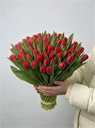 Красные тюльпаны (Пачка 50шт) 142