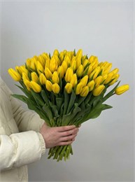 Желтые тюльпаны (Пачка 50шт) 55
