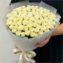 Розы Беларусь в пленке туман (51шт) 159