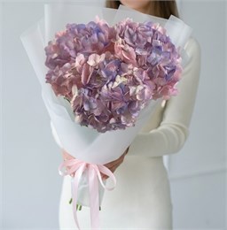 Букет из гортензий (3шт) 456