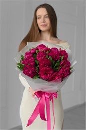Пионы бордовые Ред впленке (15шт) 608