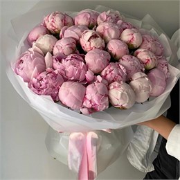 Пионы розовые в пленке Туман (25шт) 649