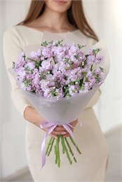 Букет из фиолетовой маттиолы в упаковке (7шт) 5704532000 в Рязани
