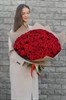 Красная роза 60см одн 101шт - фото 629873