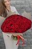 Красная роза 60см одн 101шт - фото 629874