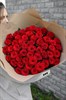 Красная роза 60см одн 51шт - фото 629948