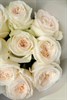 9 роз Вайт Охара - фото 630248