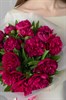 Пионы бордовые 15шт 608 - фото 634326
