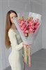 Маттиола розовая  9шт 604 - фото 634381