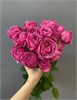 Пионовидная роза Мисти Баблз куст (пачка 10шт) 54090909 - фото 635407