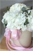 Белые гортензии в шляпной коробке (S) 5006