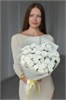 Хризантема Сантини пушистая (белая, 9шт) 9777799977 - фото 635728