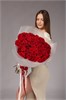 Красные розы 60см в упаковке Туман (51шт) 813