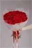 Красные розы 60см в упаковке Туман (51шт) 813