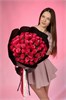 Малиновая роза Кения 40см в черной PREMIUM упаковке (51 шт.) 805